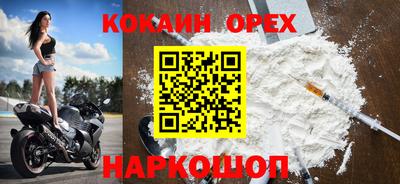 СК Обь