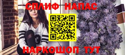СК Обь