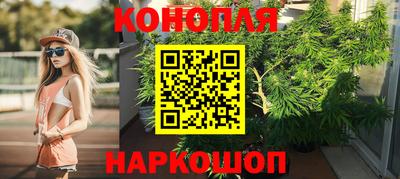 СК Обь