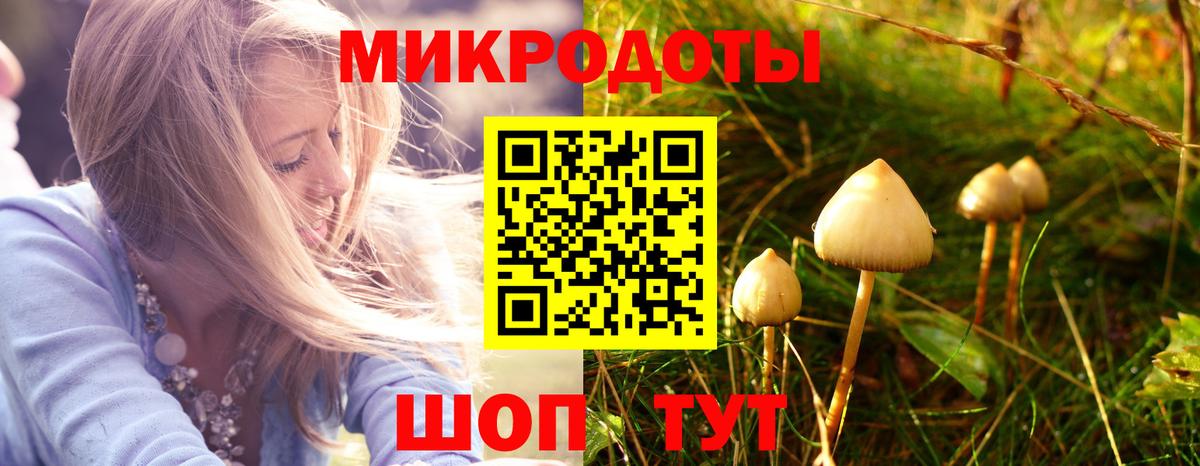 Псилоцибиновые грибы прущие грибы  Вход с VPN  Серов 
